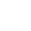 Flag icon